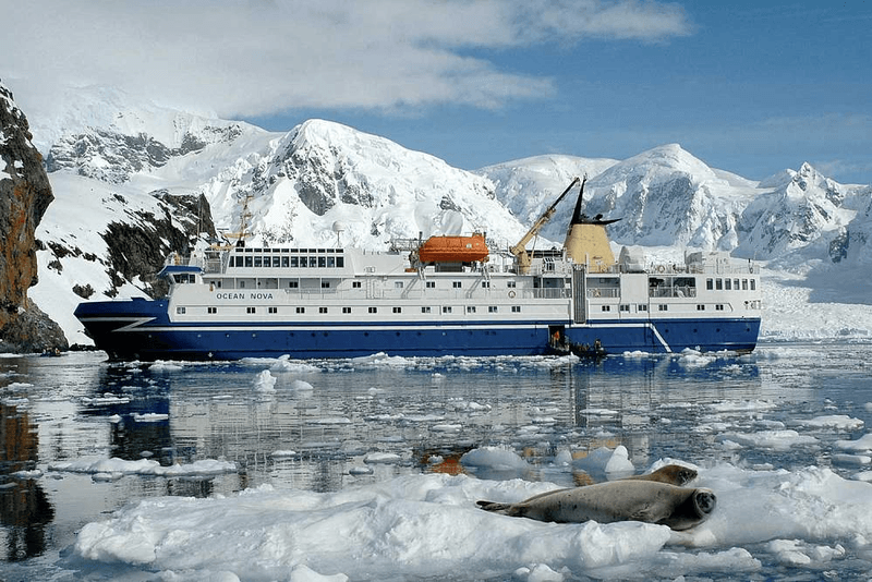 Экспедиционный круиз в Антарктиду на борту теплохода Ocean Nova (с перелетом через пролив Дрейка)