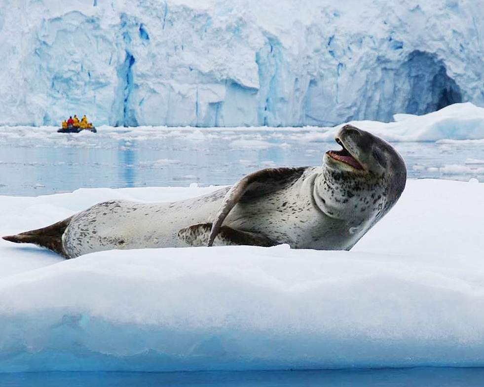 Путешествие в Антарктиду с перелетом на частном самолете