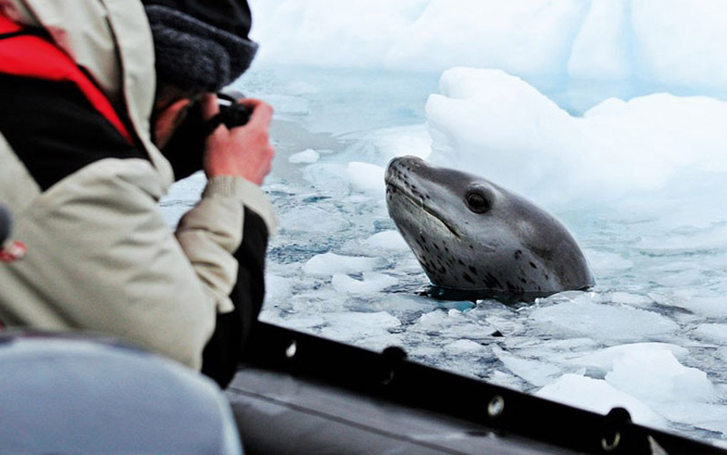 Экспедиционный круиз к Антарктическому полуострову «Антарктика с пересечением Полярного круга» на судне ледового класса Hondius