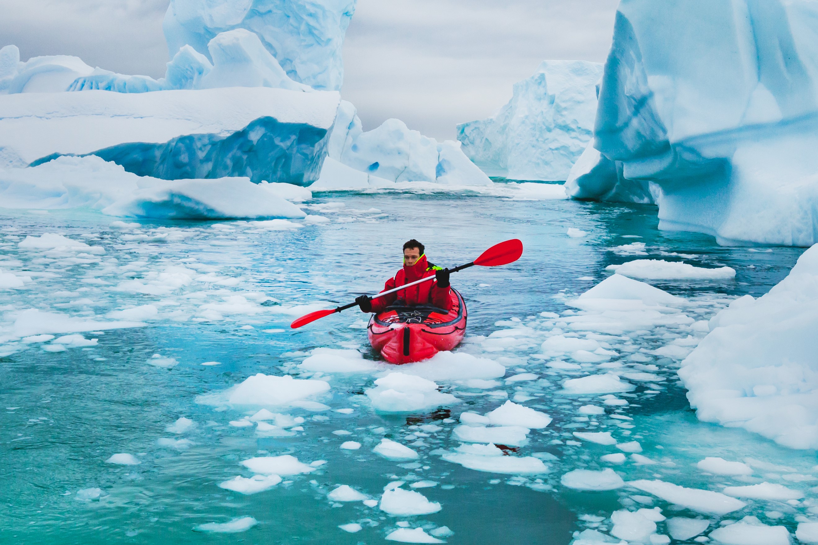 Чем заняться туристу в Антарктиде?