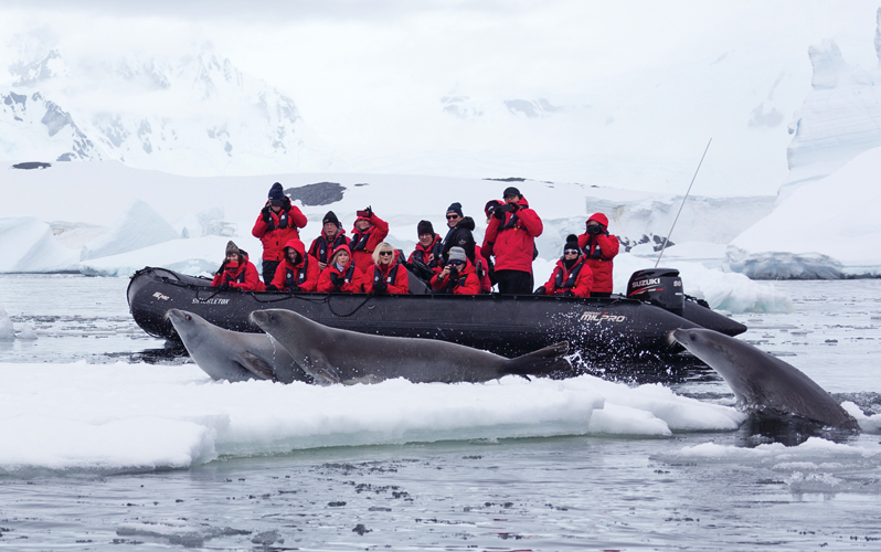 Экспедиционный круиз к Антарктическому полуострову на теплоходе ледового класса Plancius