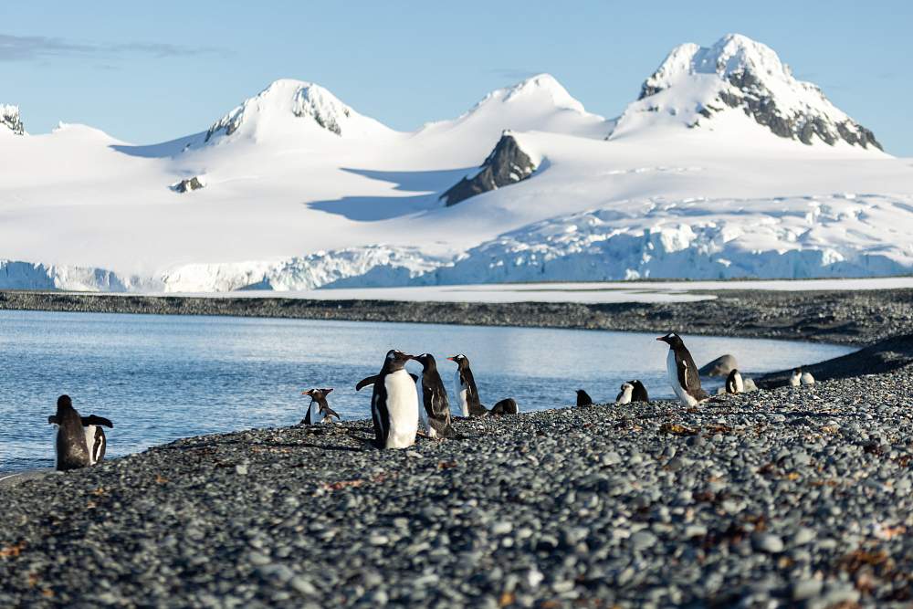 Парусная экспедиция к Антарктическому полуострову на судне Amazone + SKITOUR (с перелетом через пролив Дрейка)