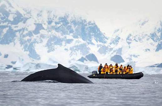 Круиз Экспедиционный круиз к Антарктическому полуострову «Море Уэдделла» на борту роскошного ледокола Le Commandant Charcot (14 дней)