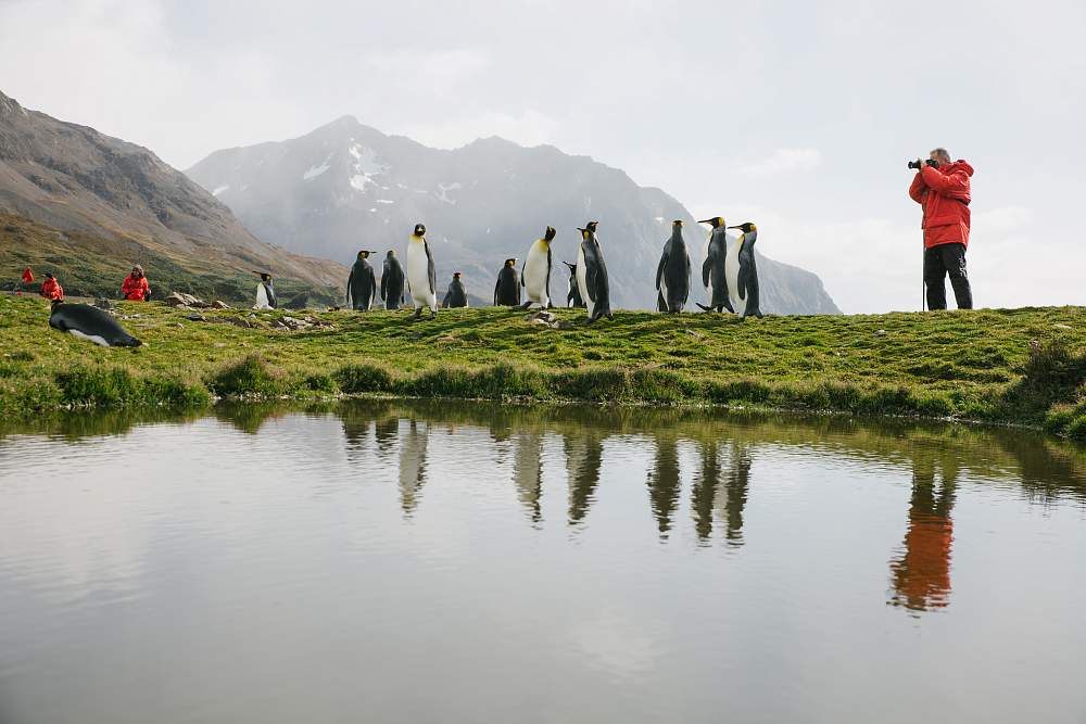Экспедиционный круиз к Антарктическому полуострову «Вся Антарктика в одном путешествии» на судне «Си Спирит» (21 день)