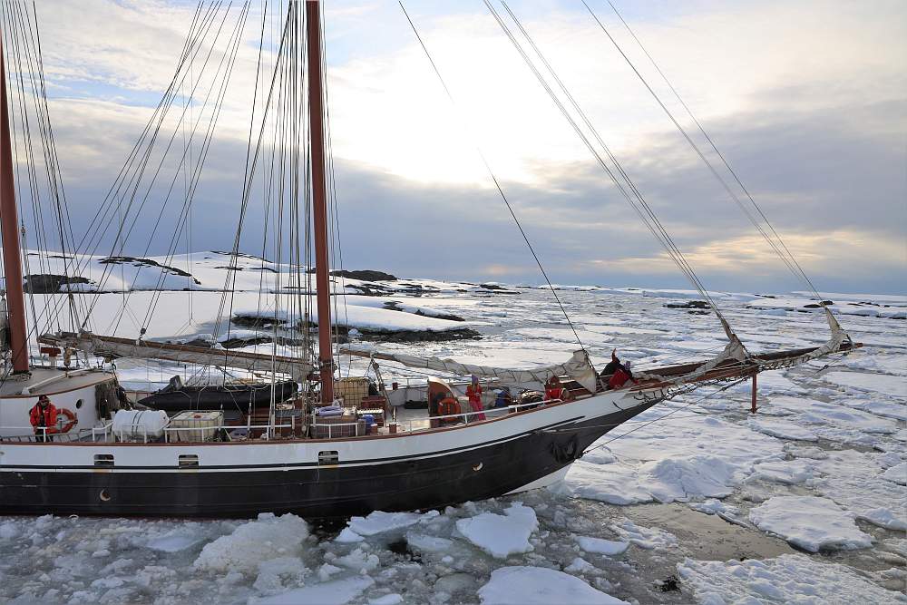 Парусная экспедиция к Антарктическому полуострову на судне Amazone (с перелетом через пролив Дрейка)