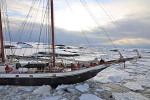 Круиз Парусная экспедиция к Антарктическому полуострову на судне Amazone (с перелетом через пролив Дрейка)