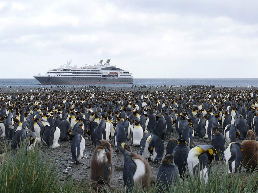 Экспедиционный круиз в Антарктику «Антарктический полуостров, Фолклендские острова, Южная Георгия» на мега-яхте класса «люкс» Le Lyrial