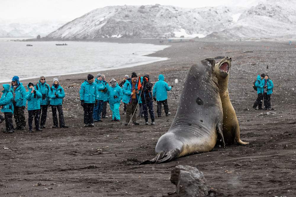 Экспедиционный круиз к Антарктическому полуострову на мега-яхте SH Minerva