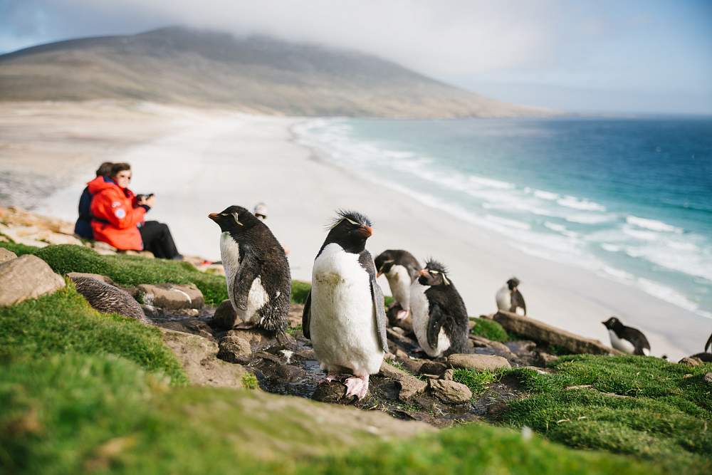 Экспедиционный круиз к Антарктическому полуострову «Вся Антарктика в одном путешествии» на судне «Си Спирит» (21 день)
