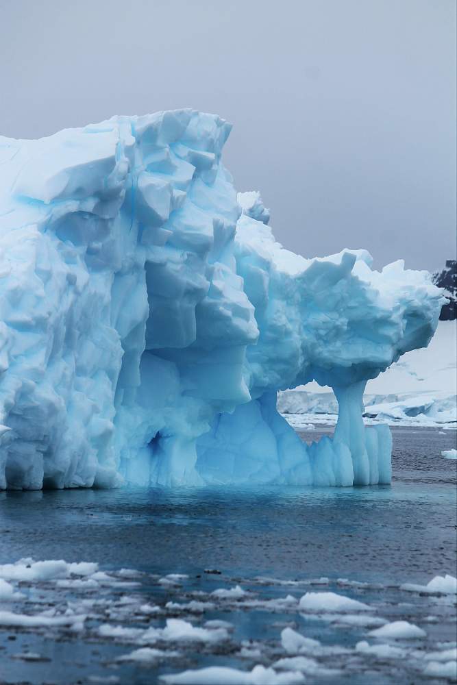 Экспедиционный круиз к Антарктическому полуострову на судне Ortelius/ Hondius