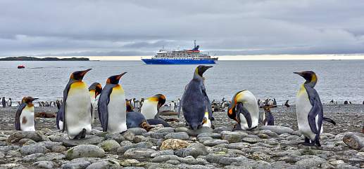 Круиз Экспедиционный круиз к Антарктическому полуострову «Вся Антарктика в одном путешествии» на судне «Си Спирит» (23 дня)