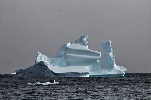 Круиз Экспедиционный круиз к Антарктическому полуострову на теплоходе ледового класса Plancius