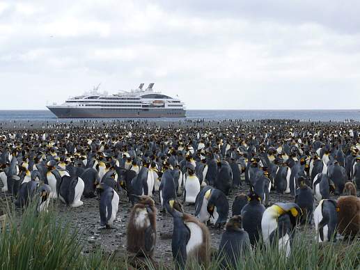 Круиз Экспедиционный круиз в Антарктику «Южная Георгия, Фолклендские острова и Антарктический полуостров» на мега-яхте L’Austral