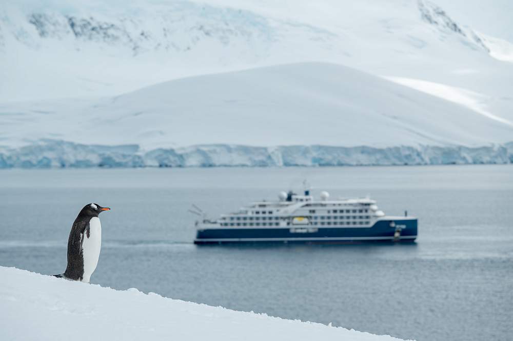 Экспедиционный круиз к Антарктическому полуострову «Ледяные горизонты» на мега-яхте SH Diana