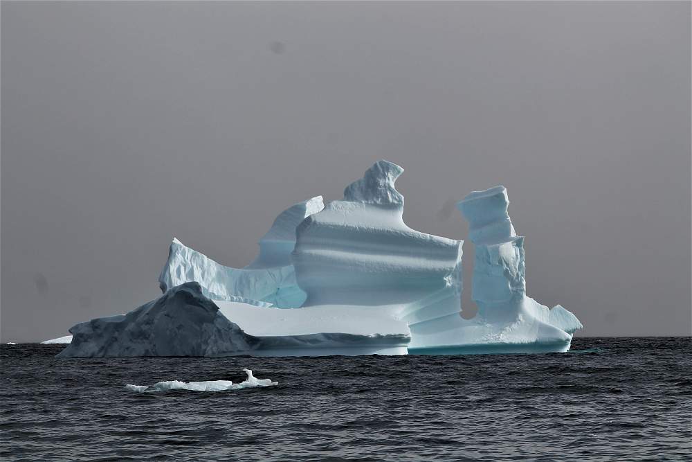 Экспедиционный круиз к Антарктическому полуострову на судне ледового класса Hondius с наблюдением за китами
