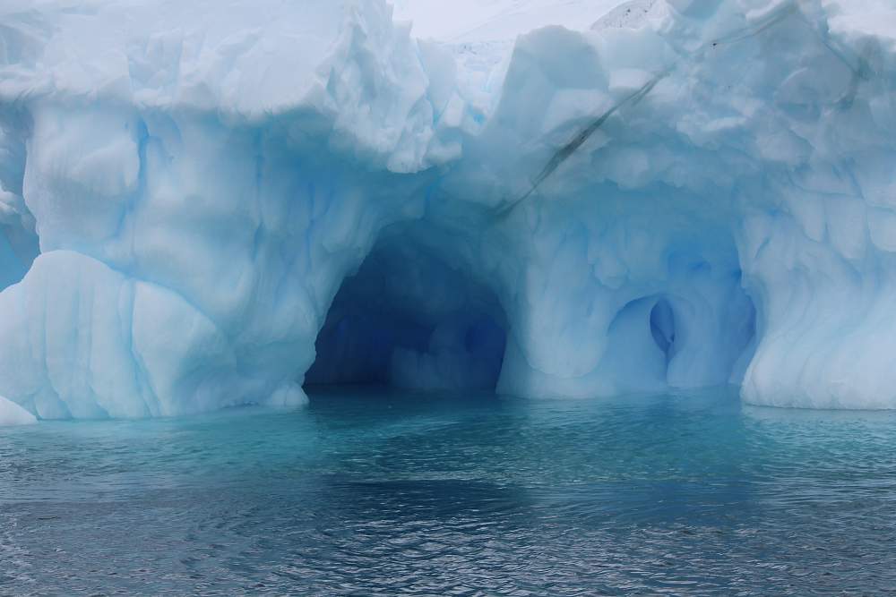 Экспедиционный круиз к Антарктическому полуострову «Пересекая полярный круг» с посещением моря Уэдделла на борту теплохода Plancius
